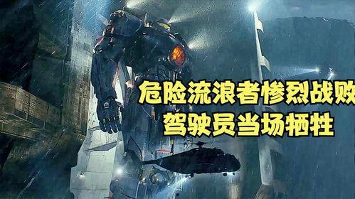 流浪者,追寻自由与归属的旅程